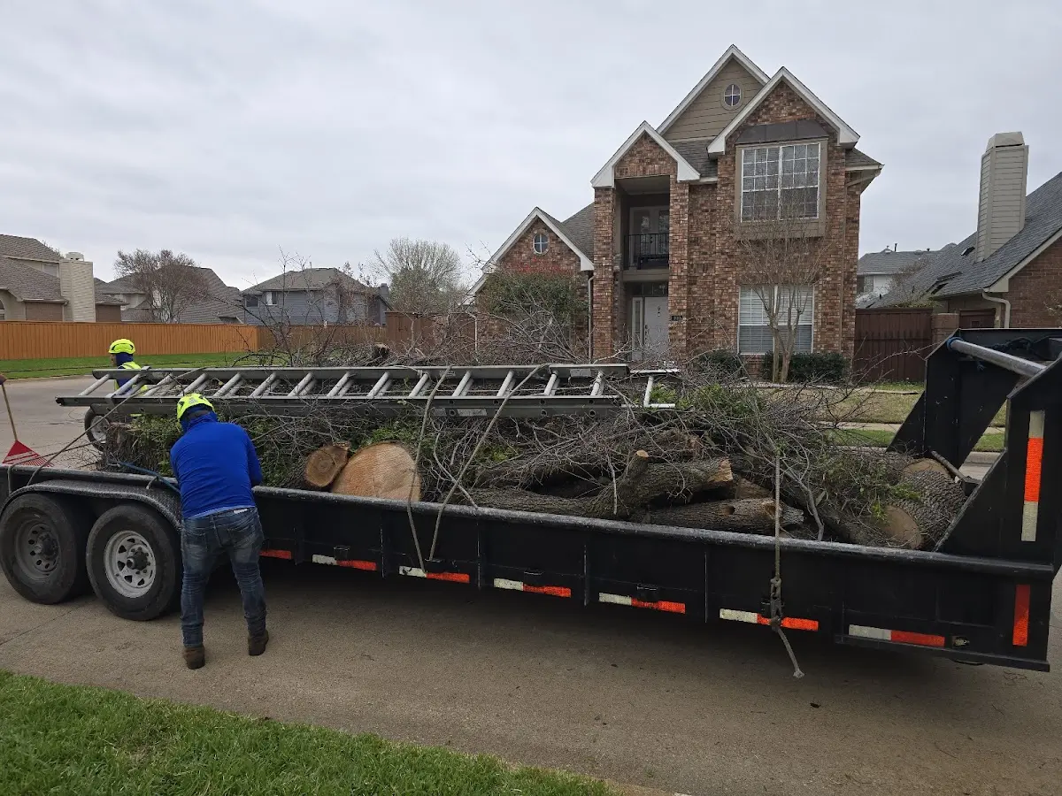 Expert Lot Clearing with proper safety equipment in Capitan